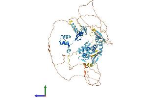 AlphaFold protein structure predicition of Human Recombinant ZNF800 Protein, UniprotID Q2TB10
