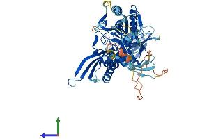 AlphaFold protein structure predicition of Human Recombinant FDXACB1 Protein, UniprotID Q9BRP7