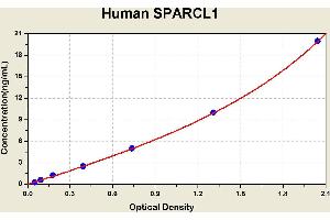Diagramm of the ELISA kit to detect Human SPARCL1with the optical density on the x-axis and the concentration on the y-axis. (SPARCL1 ELISA 试剂盒)