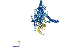 AlphaFold protein structure predicition of Mouse Recombinant Tap2 Protein, UniprotID P36371
