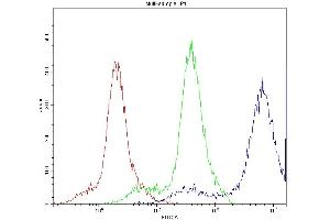 Flow Cytometry analysis of U937 cells using anti-PPT1 antibody (ABIN3043357). (PPT1 抗体  (C-Term))