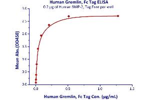 Binding Studies (Bind) image for Gremlin 1 (GREM1) (AA 25-184) (Active) protein (Fc Tag) (ABIN4949105)