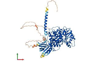 Protein Structure (PS) image for Myotubularin Related Protein 1 (MTMR1) (AA 1-665) protein (His tag) (ABIN7549521)