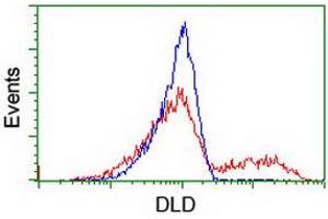 Image no. 2 for anti-Dihydrolipoamide Dehydrogenase (DLD) antibody (ABIN1497846) (DLD 抗体)
