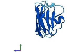 AlphaFold protein structure predicition of Human Recombinant NHLRC4 Protein, UniprotID P0CG21