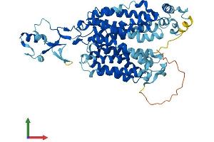 Protein Structure (PS) image for Solute Carrier Family 22 Member 4 (SLC22A4) (AA 1-553) protein (His tag) (ABIN7556454)