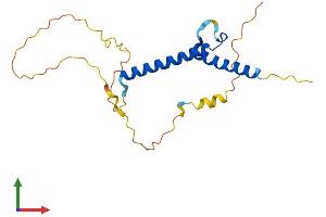 Protein Structure (PS) image for Mesogenin 1 (MSGN1) (AA 1-188) protein (His tag) (ABIN7561622)