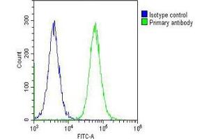 Overlay histogram showing Hela cells stained with (ABIN655062 and ABIN2844692) (green line). (CAD 抗体  (AA 780-809))