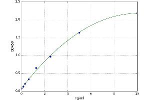 Chemokine (C-X-C Motif) Receptor 4 (CXCR4) ELISA Kit