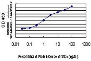 Detection limit for recombinant GST tagged PDE6D is approximately 0. (PDE6D 抗体  (AA 1-150))