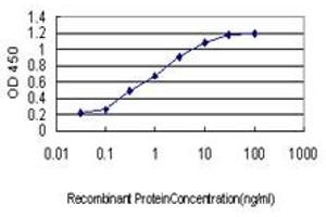 Detection limit for recombinant GST tagged LASS6 is approximately 0. (CERS6 抗体  (AA 62-131))