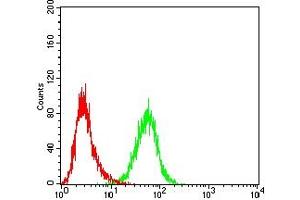 Flow cytometric analysis of HL-60 cells using CD205 mouse mAb (green) and negative control (red). (LY75/DEC-205 抗体)