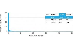 Analysis of Protein Array containing >19,000 full-length human proteins using IgG Recombinant Mouse Monoclonal Antibody (rIG266) Z- and S- Score: The Z-score represents the strength of a signal that a monoclonal antibody (Monoclonal Antibody) (in combination with a fluorescently-tagged anti-IgG secondary antibody) produces when binding to a particular protein on the HuProtTM array.