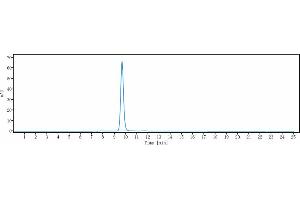 anti-NRP1 (Vesencumab Biosimilar) antibody