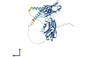 Protein Structure (PS) image for Synaptotagmin II (SYT2) (AA 1-419) protein (His tag) (ABIN7544094)