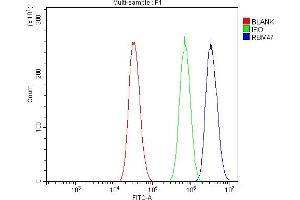 Flow Cytometry analysis of A431 cells using anti-RBM47 antibody (ABIN7602242). (RBM47 抗体  (AA 66-317))
