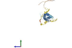 Protein Structure (PS) image for Claudin 23 (CLDN23) (AA 1-292) protein (His tag) (ABIN7546595)