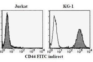 Flow Cytometry (FACS) image for anti-CD44 (CD44) antibody (ABIN1449180) (CD44 抗体)