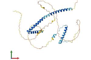 Protein Structure (PS) image for Hexamethylene Bis-Acetamide Inducible 1 (HEXIM1) (AA 1-356) protein (His tag) (ABIN7559753)