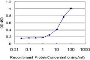 Detection limit for recombinant GST tagged DLX1 is approximately 1ng/ml as a capture antibody. (DLX1 抗体  (AA 152-255))
