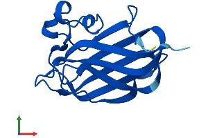 AlphaFold protein structure predicition of Mouse Recombinant Nr2c2ap Protein, UniprotID Q3TV70