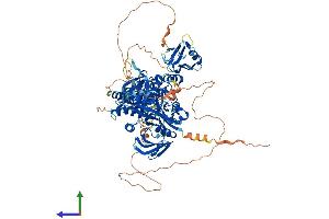 Protein Structure (PS) image for Tyrosine-Protein Phosphatase Non-Receptor Type 4 (PTPN4) (AA 1-926) protein (His tag) (ABIN7551084)