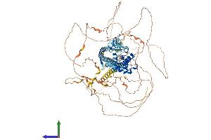 Protein Structure (PS) image for MICAL-Like 1 (MICALL1) (AA 1-863) protein (His tag) (ABIN7554560)
