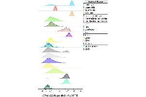 Expression profiling on peripheral blood subsets using anti-human CD16 purified antibody (clone 3G8). (CD16 抗体)