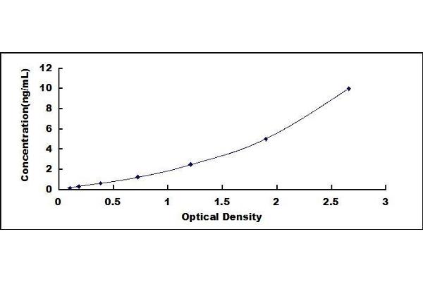 TLR3 ELISA 试剂盒