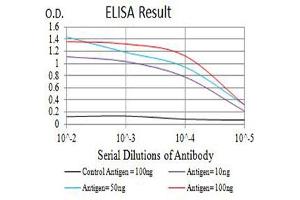 Black line: Control Antigen (100 ng),Purple line: Antigen (10 ng), Blue line: Antigen (50 ng), Red line:Antigen (100 ng) (CD40 抗体  (AA 21-193))