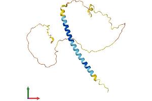 Protein Structure (PS) image for Bcl2 Modifying Factor (BMF) (AA 1-185) protein (His tag) (ABIN7560145)