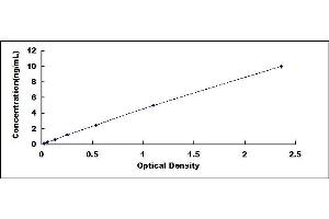 Typical standard curve (PPOX ELISA 试剂盒)