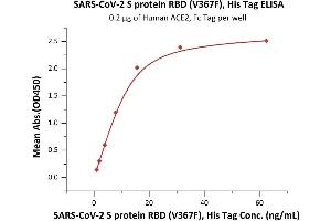 ELISA image for SARS-CoV-2 Spike S1 (RBD), (V367F) protein (His tag) (ABIN6952630)