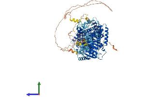 Protein Structure (PS) image for Solute Carrier Family 12 (Potassium-Chloride Transporter) Member 6 (SLC12A6) (AA 1-1150) protein (His tag) (ABIN7555293)