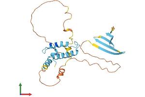 Protein Structure (PS) image for DnaJ (Hsp40) Homolog, Subfamily B, Member 3 (DNAJB3) (AA 1-242) protein (His tag) (ABIN7562374)