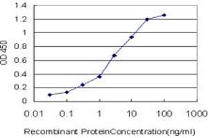 Detection limit for recombinant GST tagged IL8 is approximately 0. (IL-8 抗体  (AA 21-99))