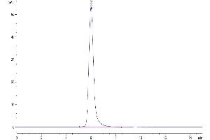 The purity of Human CD24 is greater than 95 % as determined by SEC-HPLC.