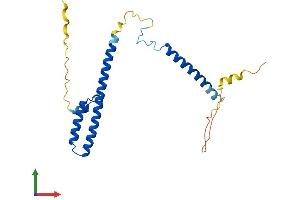 AlphaFold protein structure predicition of Human Recombinant RILPL2 Protein, UniprotID Q969X0