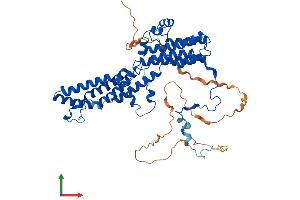 Protein Structure (PS) image for Bestrophin 2 (BEST2) (AA 1-509) protein (His tag) (ABIN7552666)