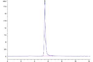 Size-exclusion chromatography-High Pressure Liquid Chromatography (SEC-HPLC) image for Somatostatin Receptor 2 (SSTR2) (AA 1-369) (Active) protein-VLP (ABIN7448172)