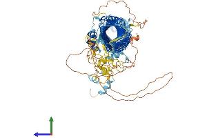 Protein Structure (PS) image for F-Box Protein 10 (FBXO10) (AA 1-950) protein (His tag) (ABIN7564204)