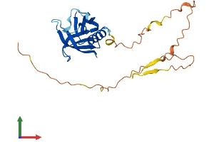 Protein Structure (PS) image for Pleckstrin Homology Domain Containing, Family B (Evectins) Member 2 (PLEKHB2) (AA 1-222) protein (His tag) (ABIN7550760)