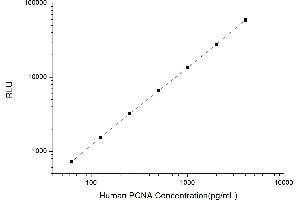 Proliferating Cell Nuclear Antigen (PCNA) CLIA Kit
