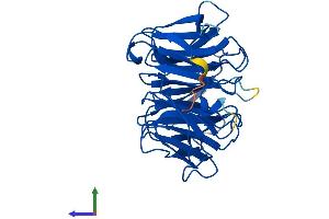 Protein Structure (PS) image for Peroxisomal Biogenesis Factor 7 (PEX7) (AA 1-323) protein (His tag) (ABIN7550693)