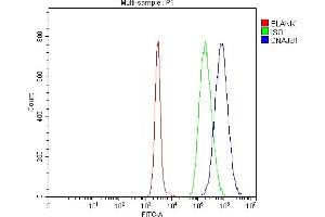 Flow Cytometry analysis of Daudi cells using anti-Hsp40/DNAJB1 antibody (ABIN7599258).
