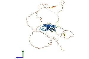 Protein Structure (PS) image for Basic Helix-Loop-Helix Family, Member E41 (BHLHE41) (AA 1-410) protein (His tag) (ABIN7564931)