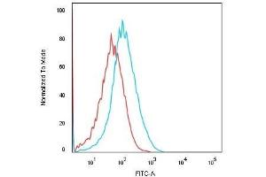 Flow Cytometric Analysis of Human HEK293 cells using KSP-Cadherin Recombinant Mouse Monoclonal Antibody (rCDH16/1071) followed by Goat anti-Mouse IgG-CF488 (Blue); Isotype Control (Red). (Recombinant Cadherin-16 抗体)