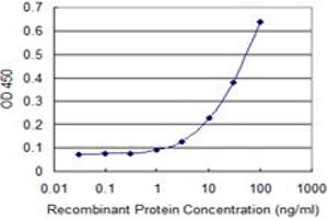 Detection limit for recombinant GST tagged ZNF238 is 1 ng/ml as a capture antibody. (ZNF238 抗体  (AA 182-281))