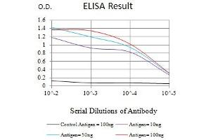 Black line: Control Antigen (100 ng),Purple line: Antigen (10 ng), Blue line: Antigen (50 ng), Red line:Antigen (100 ng) (Glypican 3 抗体  (AA 359-554))