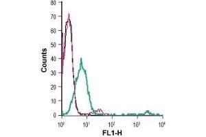 Cell surface detection of Zinc transporter ZIP8 in live intact human Jurkat T-cell leukemia cells: (black line) Cells. (SLC39A8 抗体  (Extracellular) (FITC))
